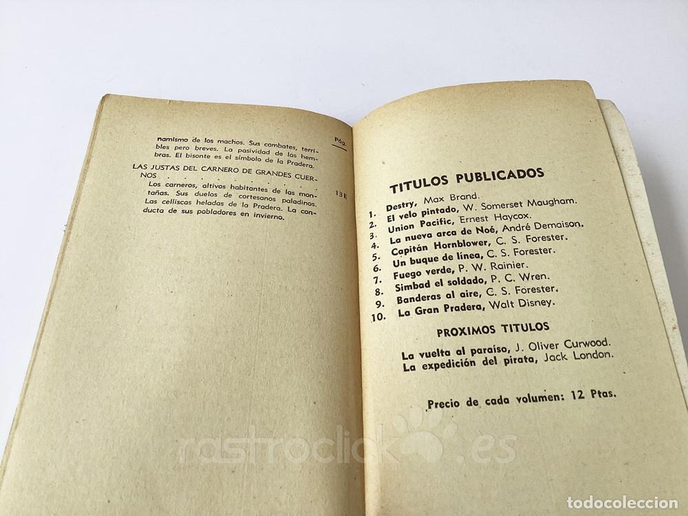 Libros de segunda mano: Libro La gran pradera &ndash; Walt Disney &ndash; Alcotan - Ediciones G.P - Mistol - Foto 13