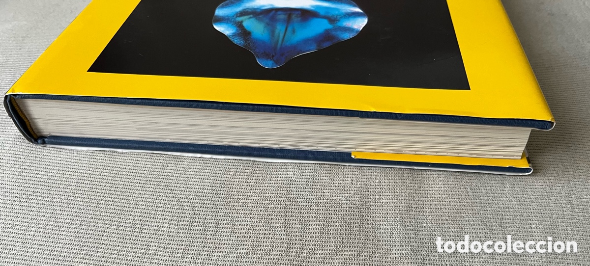 Libros de segunda mano: Libro El modernismo - Gabriele Fahr-Becker - Foto 11