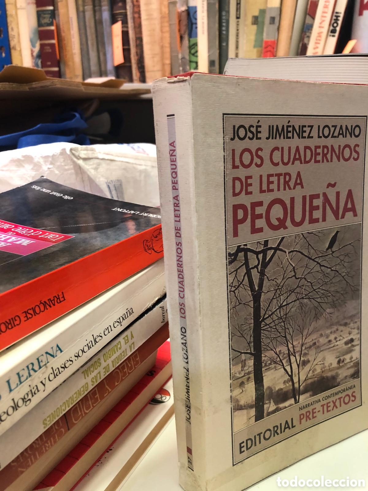 Second hand books: Los cuadernos de letra peque&ntilde;a - Jos&eacute; Jim&eacute;nez Lozano