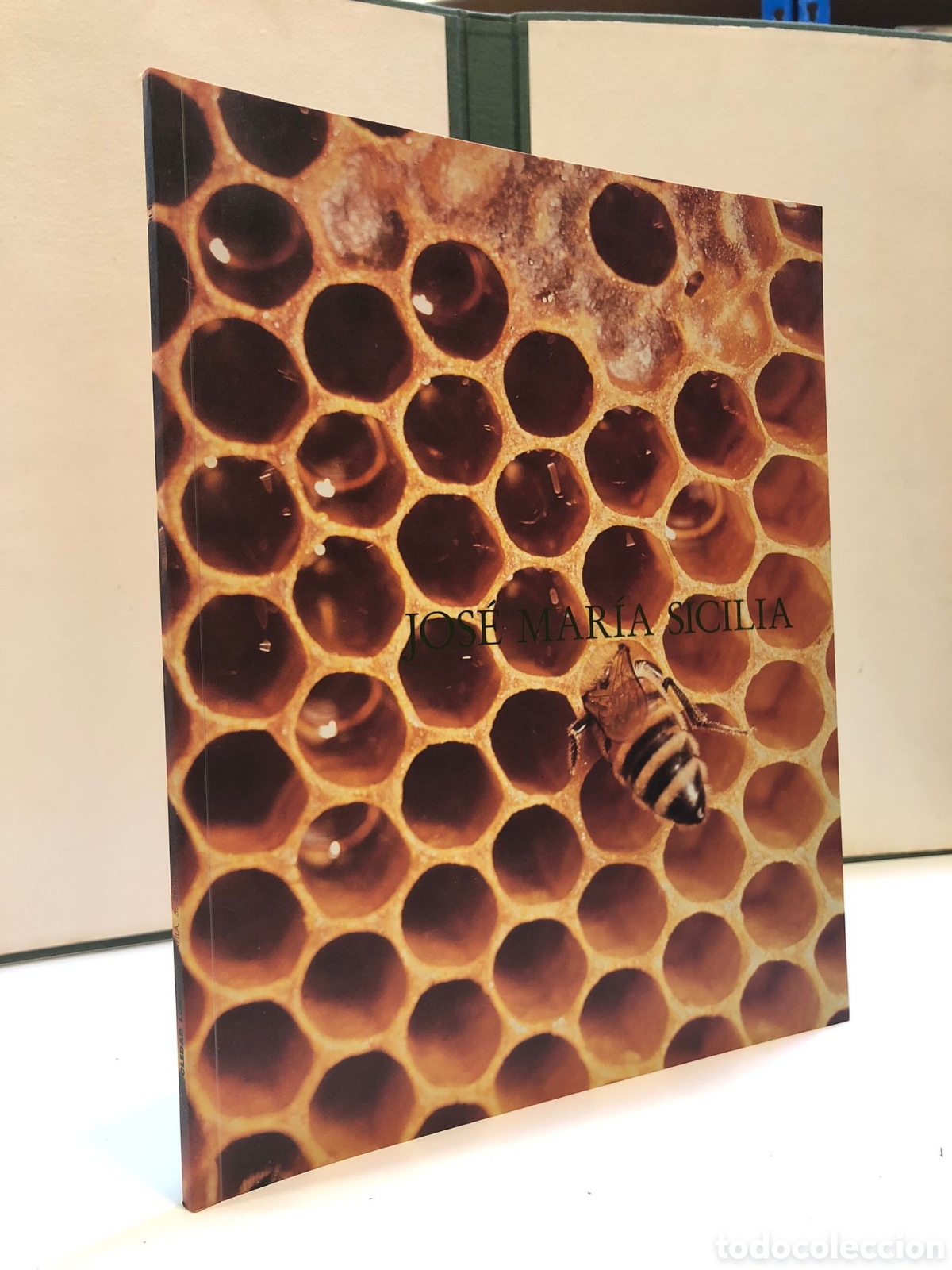 Libros de segunda mano: Jos&eacute; Mar&iacute;a Sicilia (Arte) - Foto 1