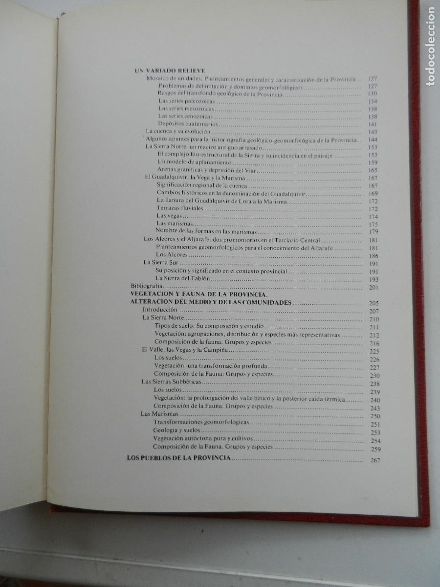 Libros de segunda mano: SEVILLA Y SU PROVINCIA - EDICIONES GEVER- 4 TOMOS -1983 - Foto 3