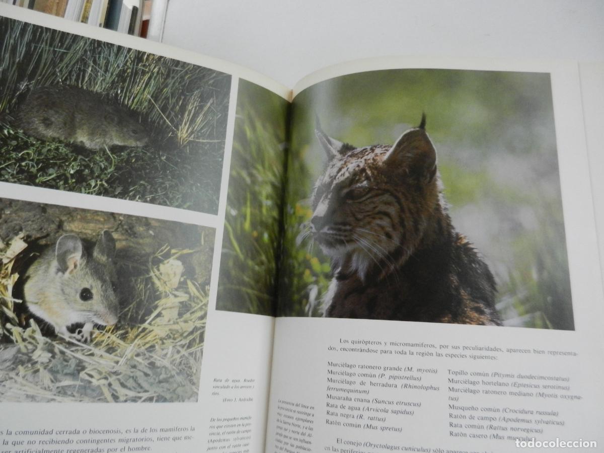 Libros de segunda mano: SEVILLA Y SU PROVINCIA - EDICIONES GEVER- 4 TOMOS -1983 - Foto 4