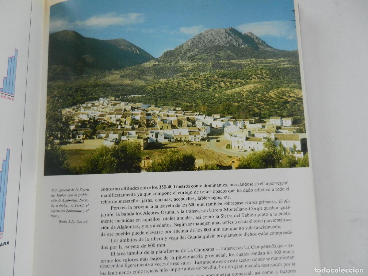 Libros de segunda mano: SEVILLA Y SU PROVINCIA - EDICIONES GEVER- 4 TOMOS -1983 - Foto 5