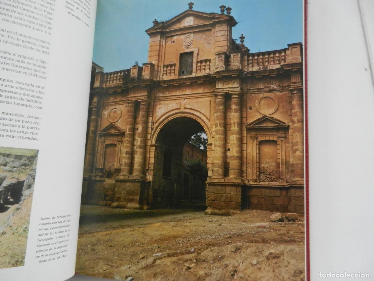 Libros de segunda mano: SEVILLA Y SU PROVINCIA - EDICIONES GEVER- 4 TOMOS -1983 - Foto 10