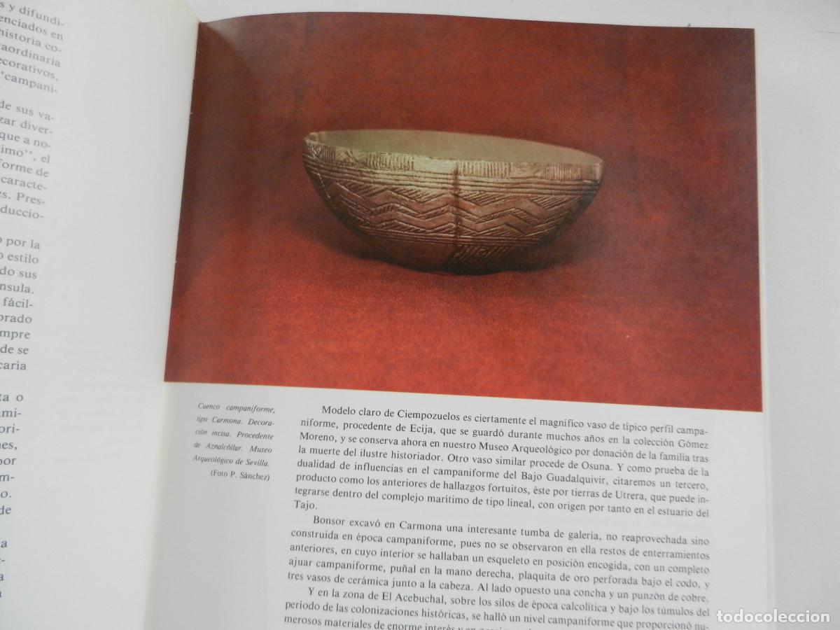 Libros de segunda mano: SEVILLA Y SU PROVINCIA - EDICIONES GEVER- 4 TOMOS -1983 - Foto 11