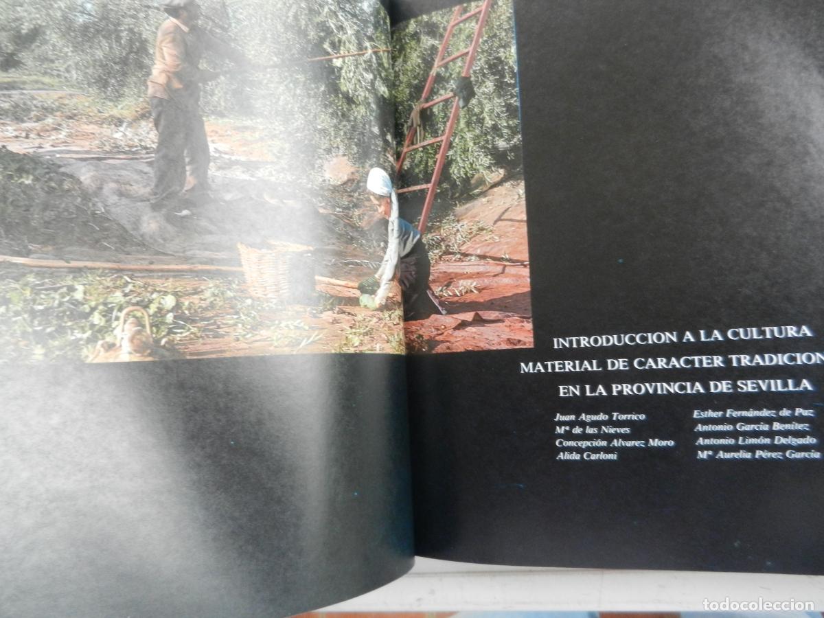 Libros de segunda mano: SEVILLA Y SU PROVINCIA - EDICIONES GEVER- 4 TOMOS -1983 - Foto 26