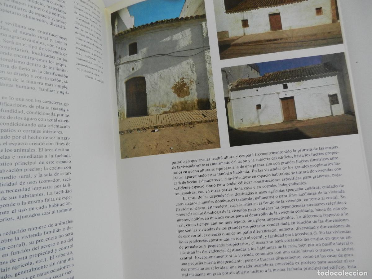 Libros de segunda mano: SEVILLA Y SU PROVINCIA - EDICIONES GEVER- 4 TOMOS -1983 - Foto 27