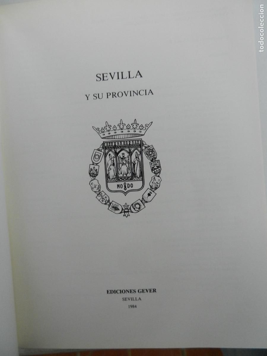 Libros de segunda mano: SEVILLA Y SU PROVINCIA - EDICIONES GEVER- 4 TOMOS -1983 - Foto 28