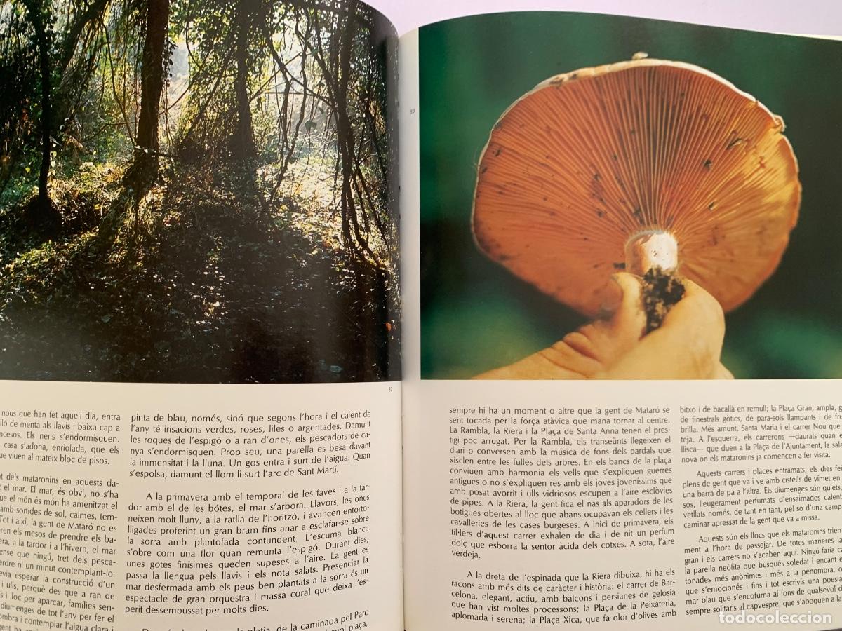 Libros de segunda mano: Matar&oacute; una Ciutat. La seva Hist&ograve;ria. - Foto 5