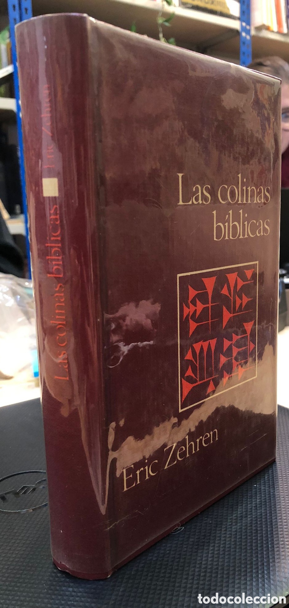 Libros de segunda mano: Las colinas b&iacute;blicas - Eric Zehren - Foto 1