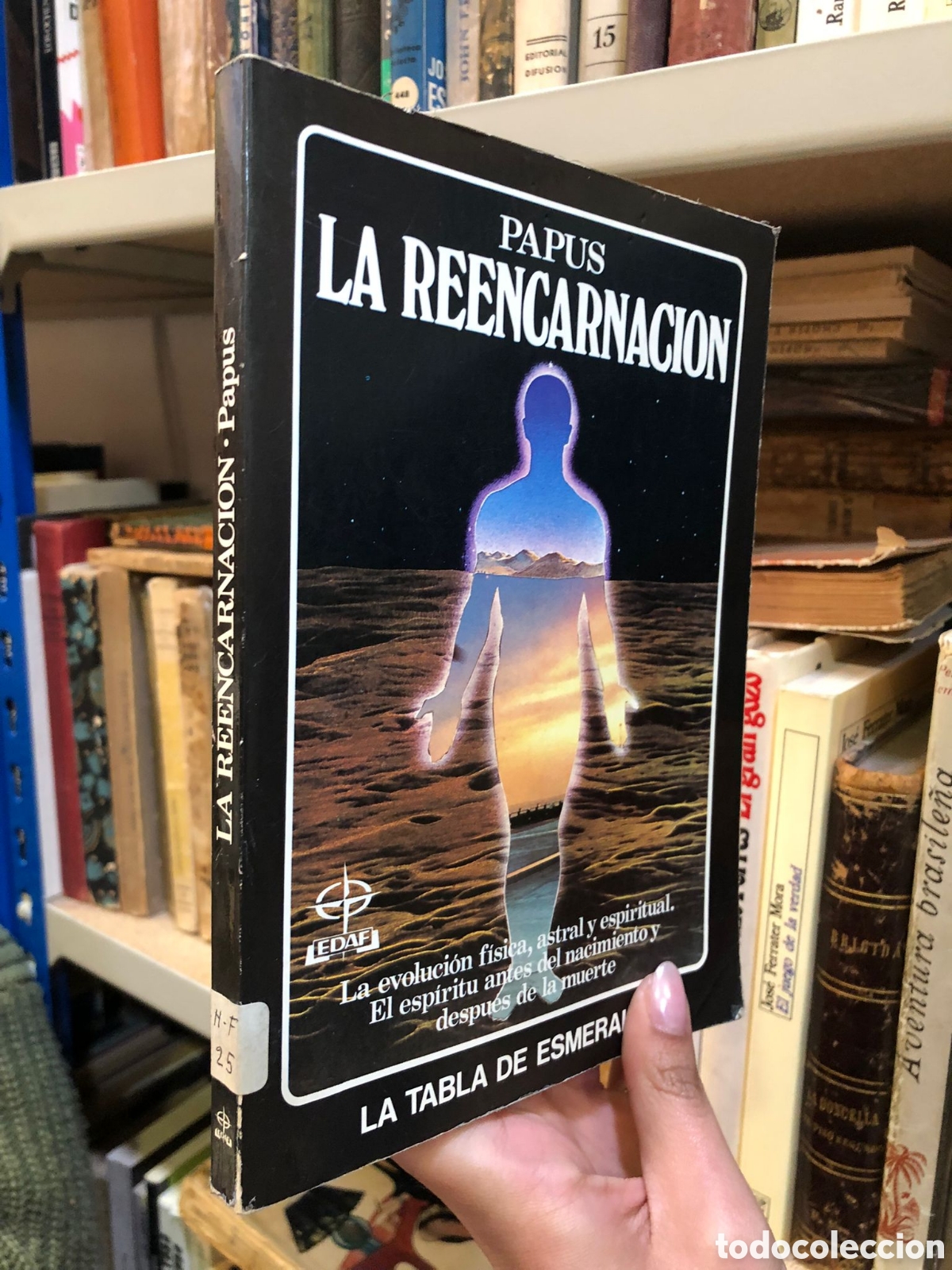 Libros de segunda mano: La reencarnaci&oacute;n - Papus - Foto 1