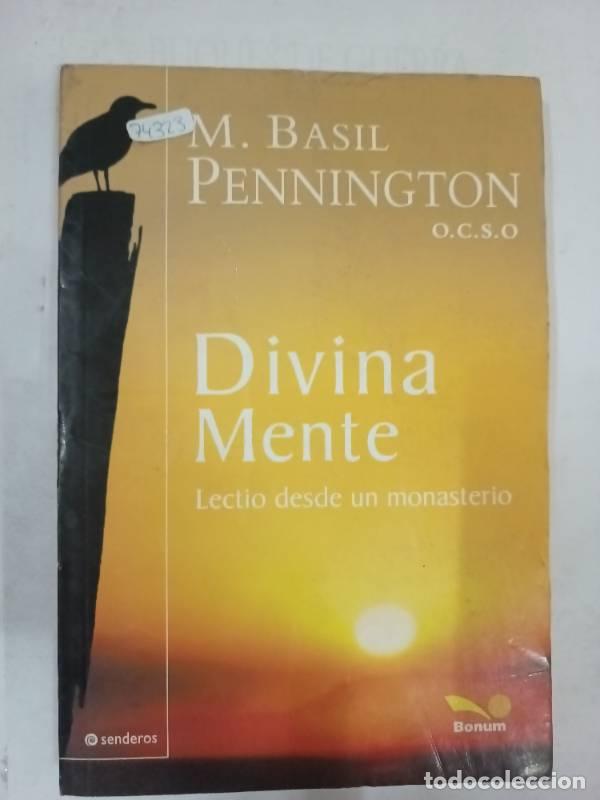 Libros de segunda mano: Divina mente / Divine Mind (Senderos) - Pennington - Foto 1