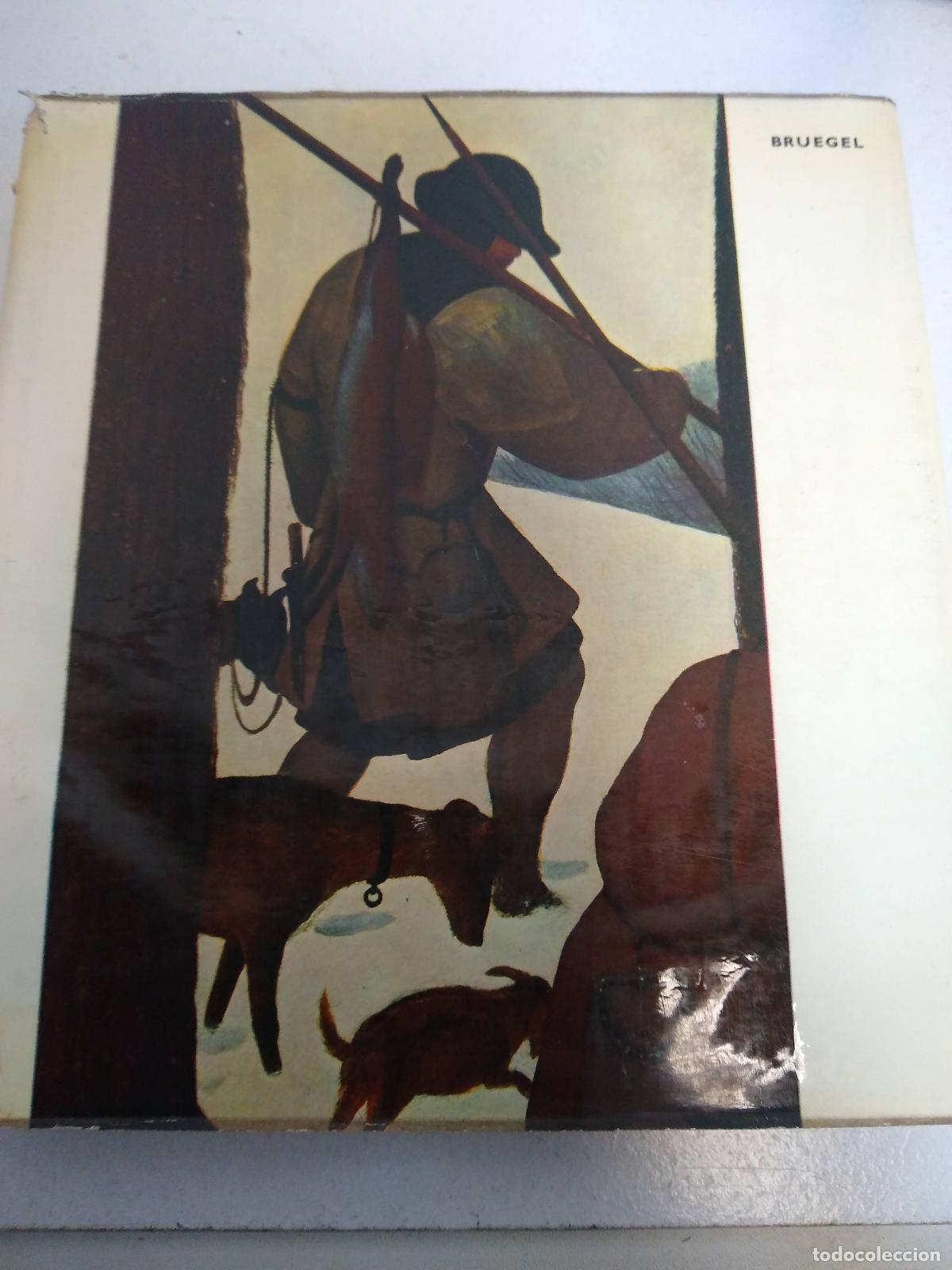 Libros de segunda mano: Bruegel - Skira - Foto 1