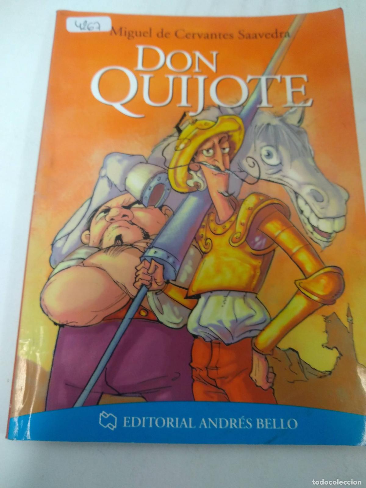 Libros de segunda mano: Don Quijote - Miguel De Cervantes Saavedra - Foto 1