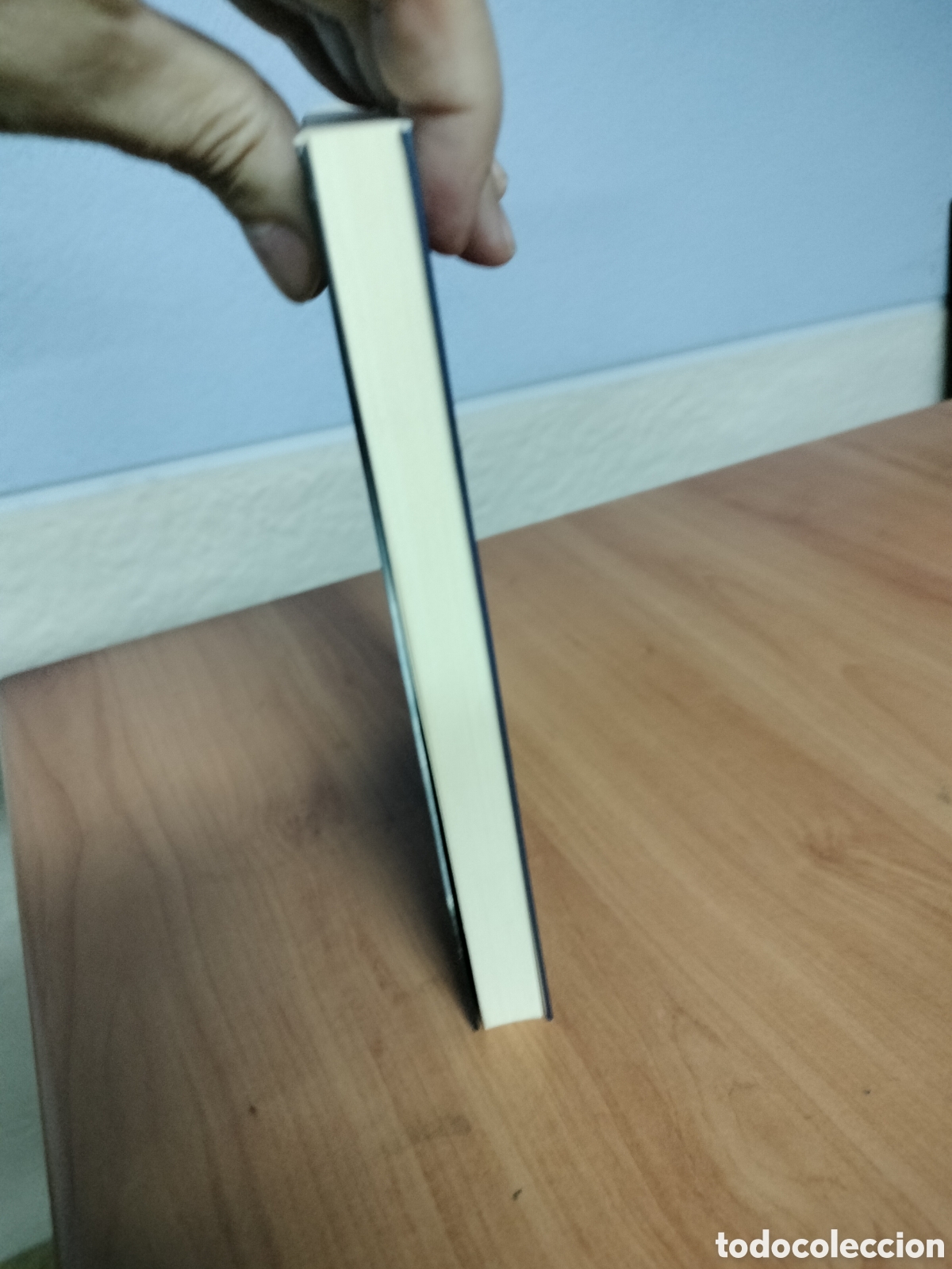 Libros de segunda mano: La campa&ntilde;a de Cabrera - Jorge Daniel Villar - Foto 2