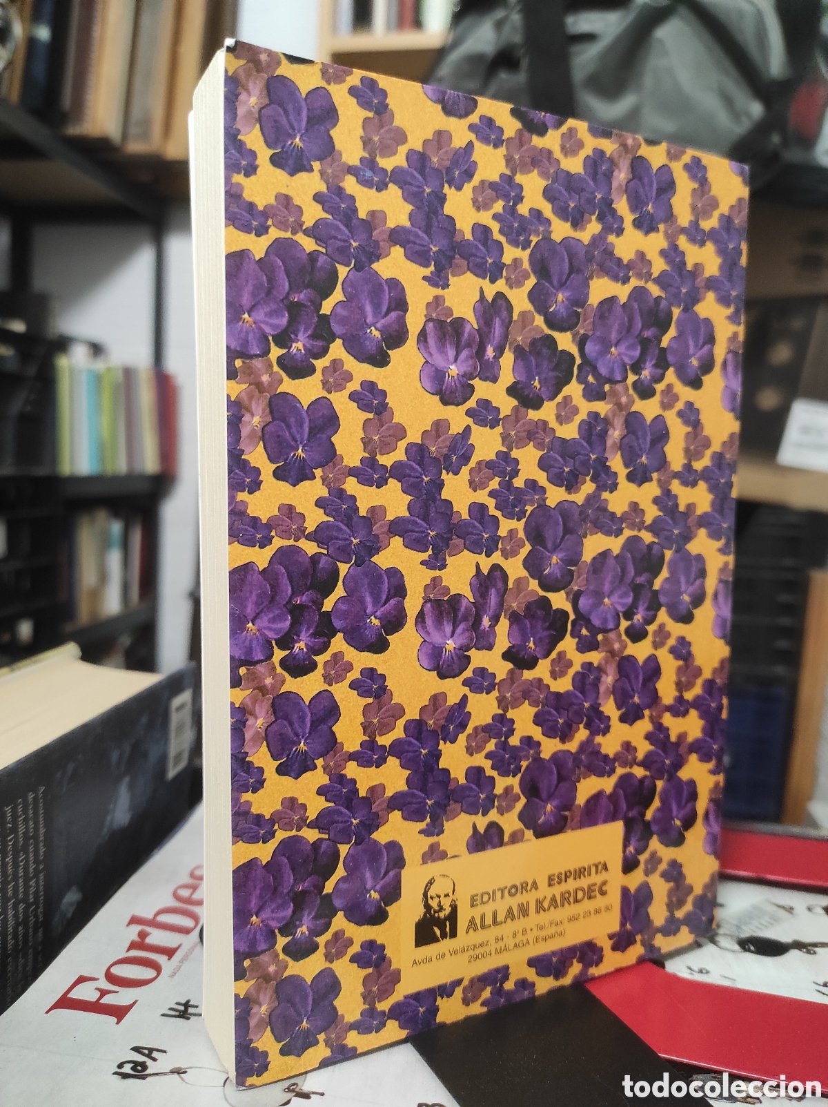 Libros de segunda mano: Amalia Domingo Soler. La gran se&ntilde;ora del espiritismo - C&eacute;sar Bogo - Foto 2
