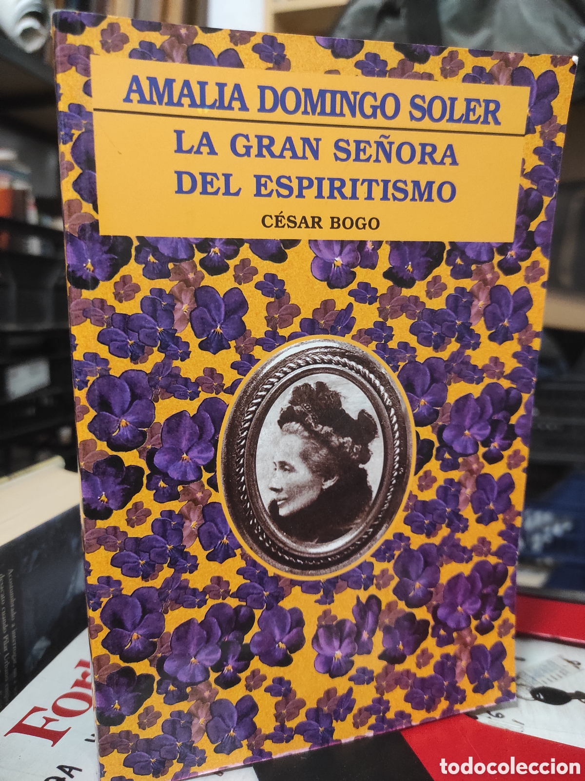 Libros de segunda mano: Amalia Domingo Soler. La gran se&ntilde;ora del espiritismo - C&eacute;sar Bogo - Foto 1