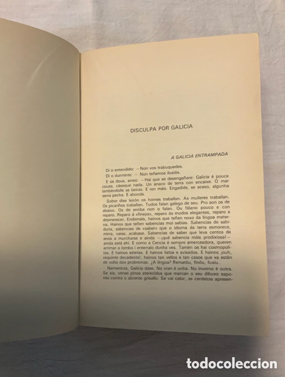 Libros de segunda mano: Terra Brava. Anxel Fole - Foto 4
