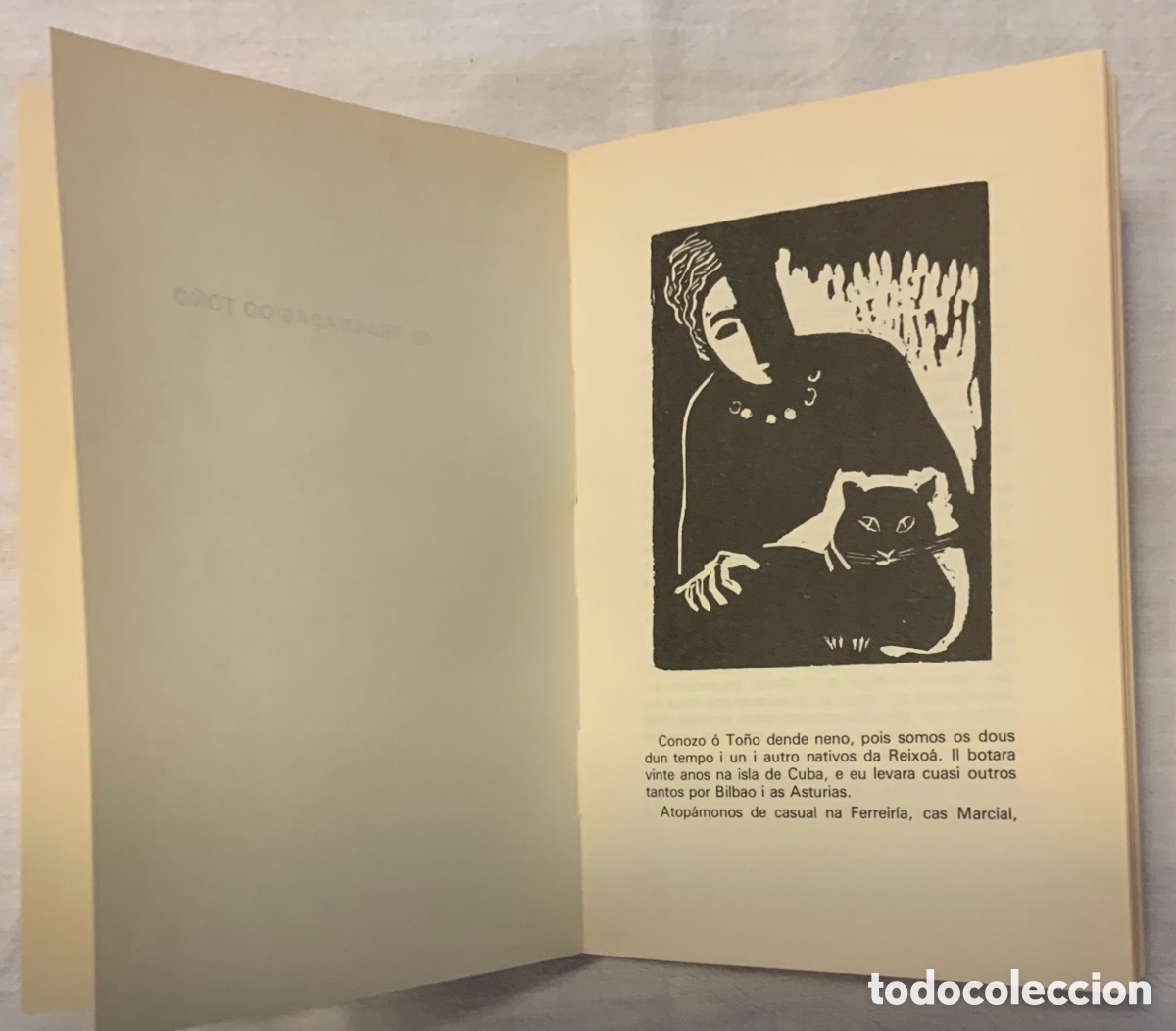 Libros de segunda mano: Terra Brava. Anxel Fole - Foto 5