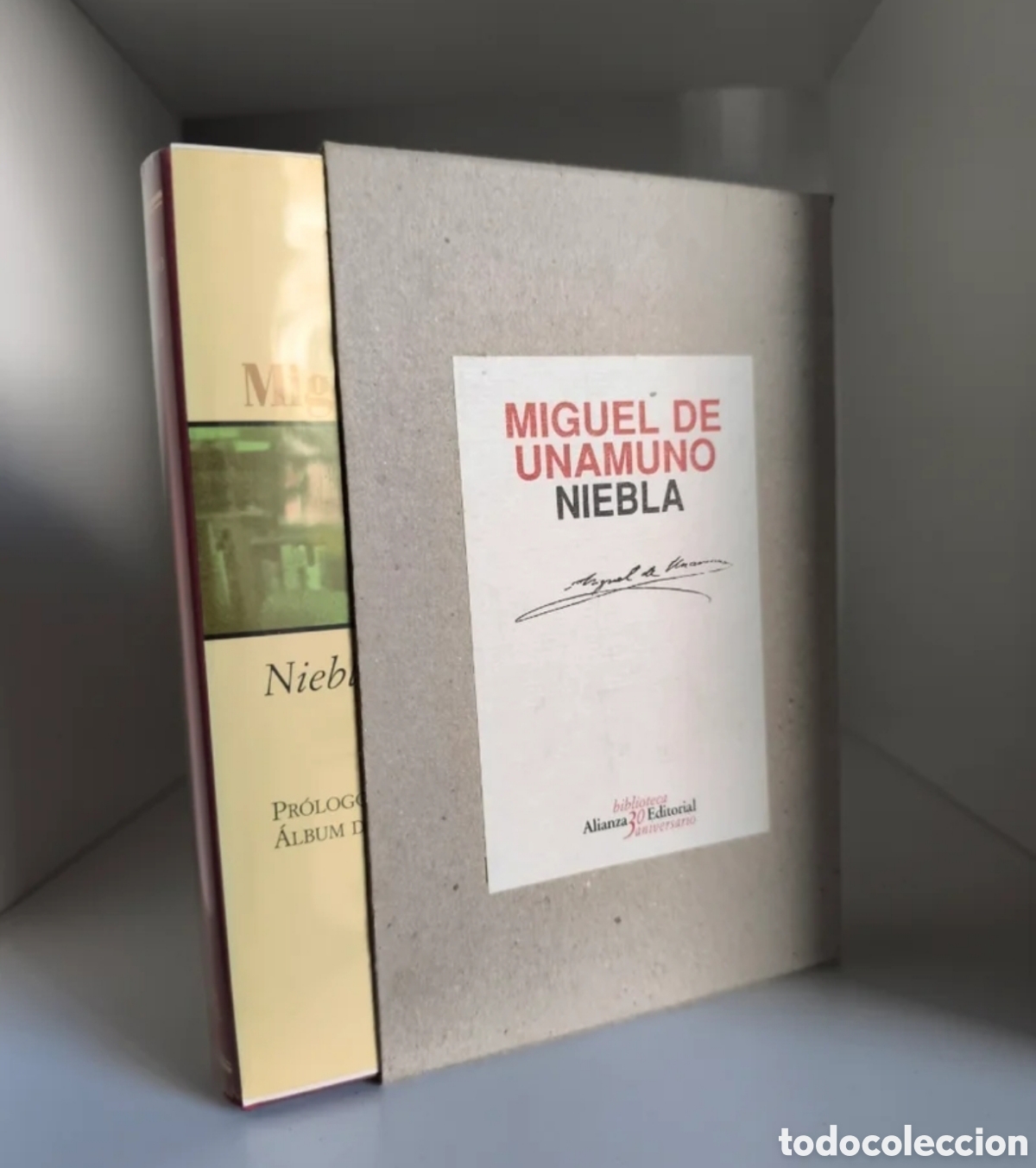 Libros de segunda mano: Niebla de Miguel Unamuno (Edici&oacute;n Especial) - Foto 1