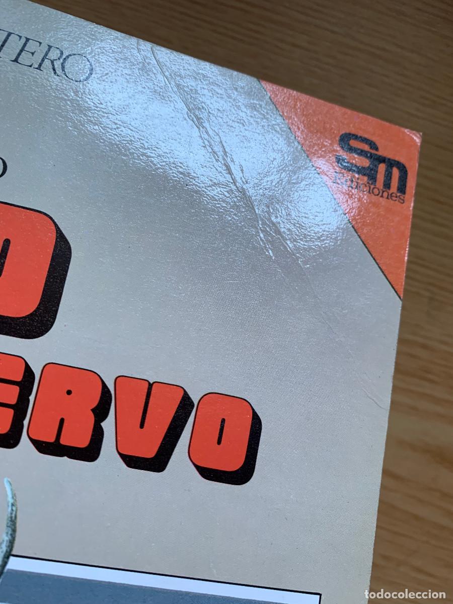 Libros de segunda mano: Zaro y el Ciervo - Buen Estado - Foto 2