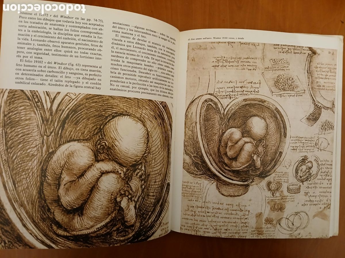 Libros de segunda mano: Dibujos. Leonardo da Vinci. - Foto 10