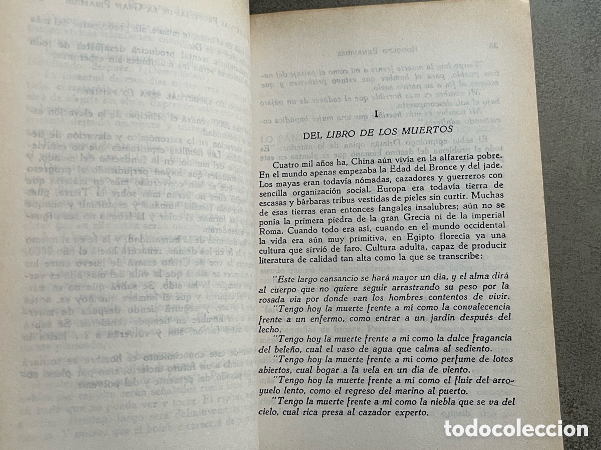 Libros de segunda mano: Libro Dram&aacute;ticas profec&iacute;as de la gran Pir&aacute;mide - Rodolfo Benavides - Foto 9