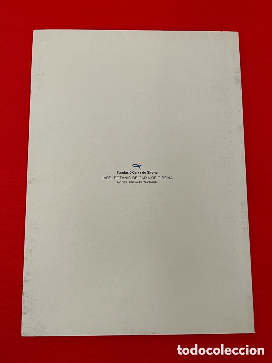 Libros de segunda mano: Libro Basterretxea - Fundaci&oacute; Caixa Girona - Foto 2