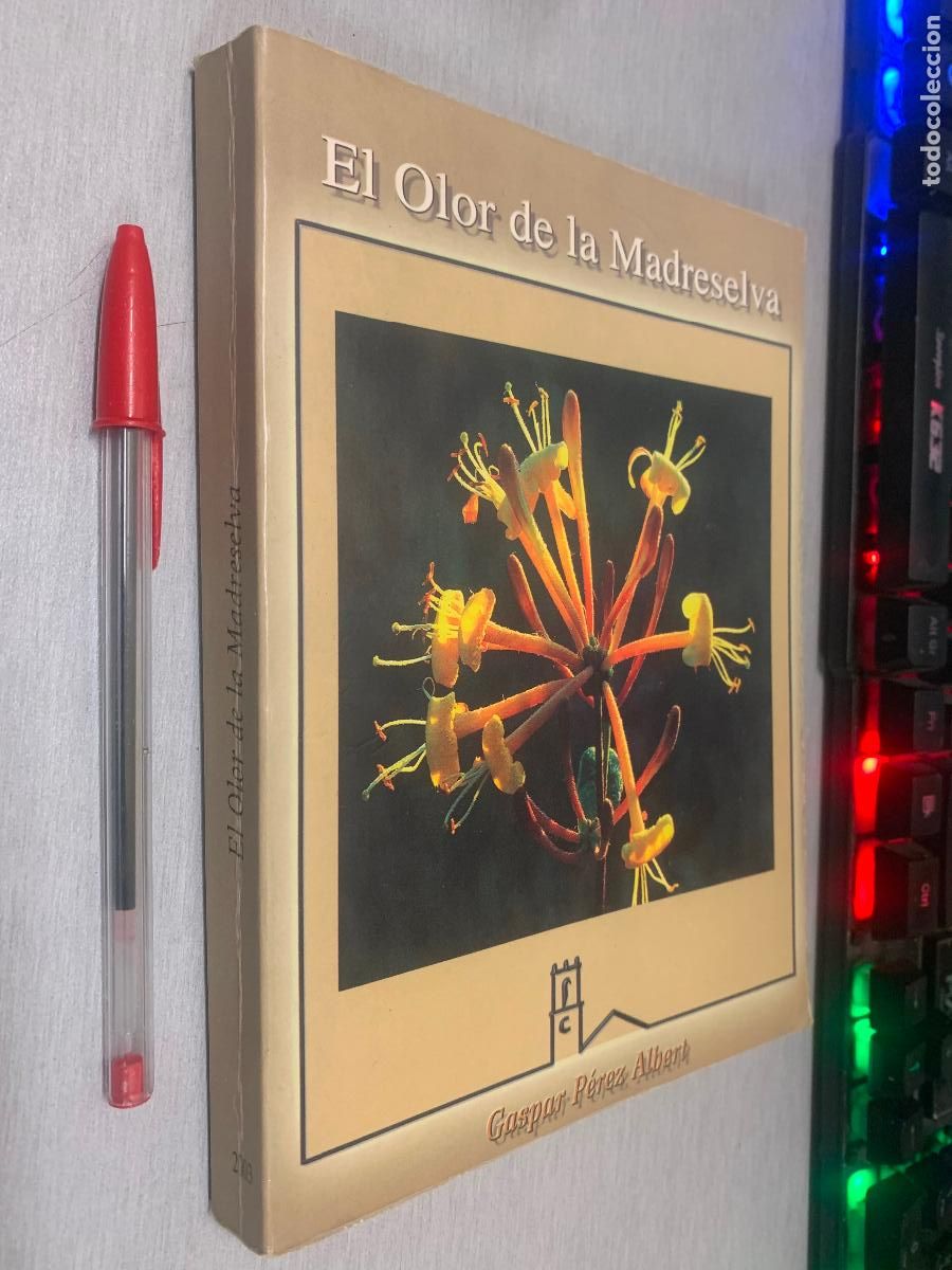 Libros de segunda mano: EL OLOR DE LA MADRESELVA / GASPAR P&Eacute;REZ ALBERT / MON&Oacute;VAR 2003