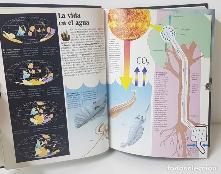 Libros de segunda mano: HISTORIA VISUAL DEL MUNDO (CAP 1-55) - EL MUNDO - 1994 - Foto 2