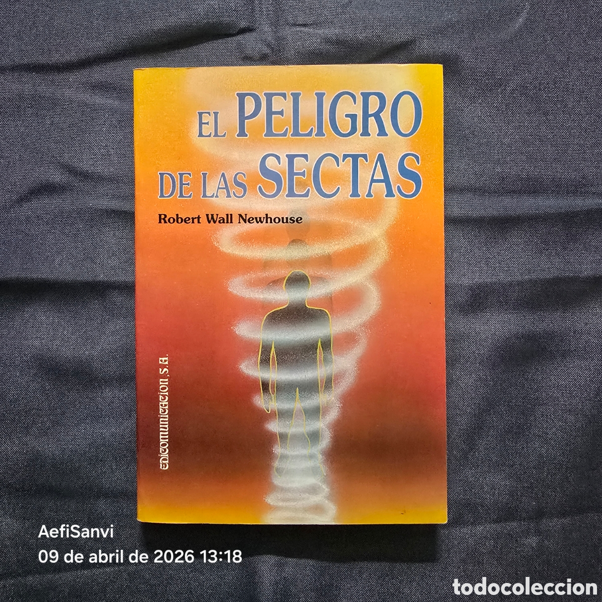 Libros de segunda mano: EL PELIGRO DE LAS SECTAS (ROBERT WALL NEWHOUSE) (EDICOMUNICACI&Oacute;N) - Foto 1