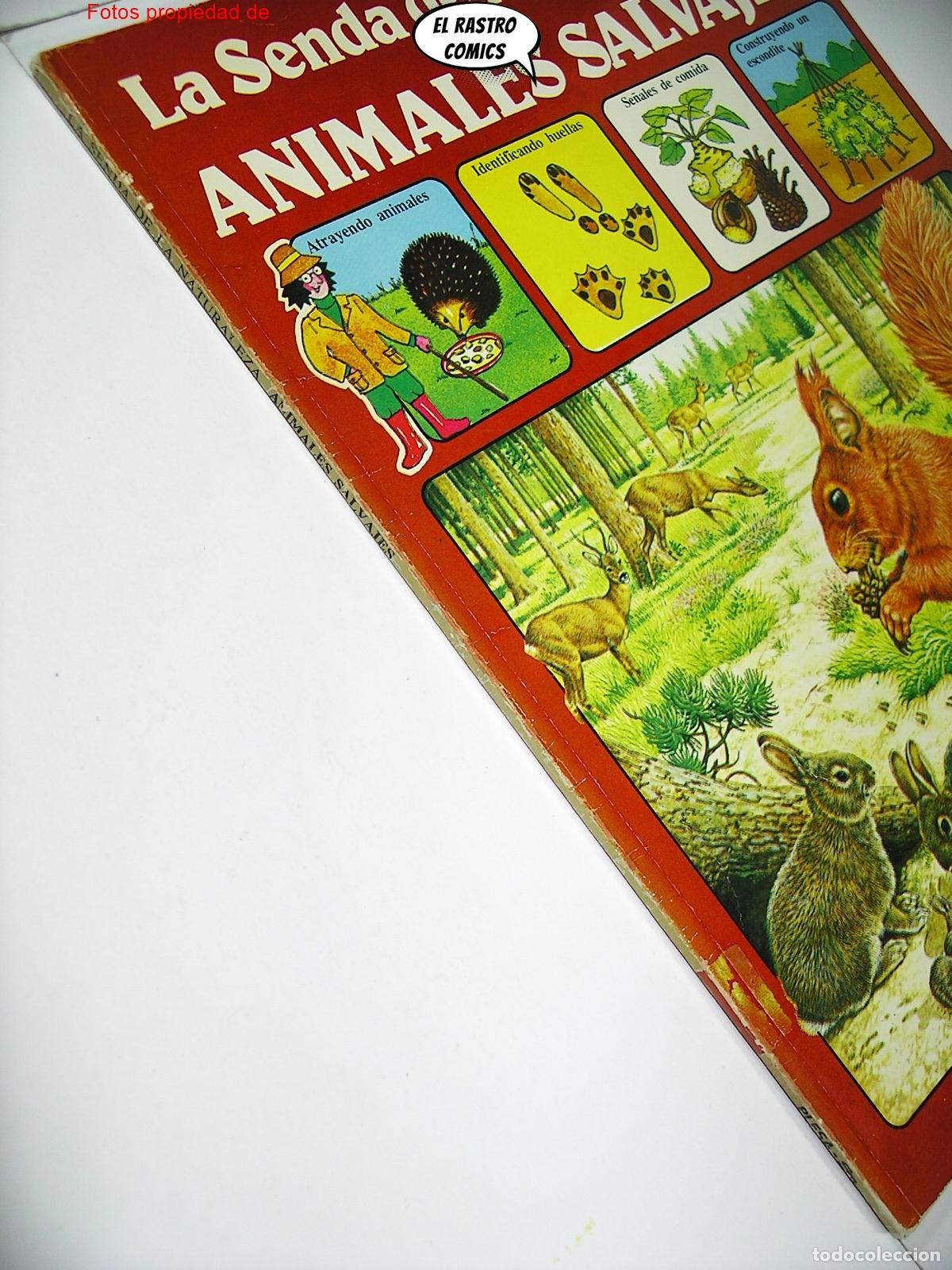 Libros de segunda mano: La senda de la naturaleza, Animales salvajes, ed Plesa SM a&ntilde;o 1989, A7
