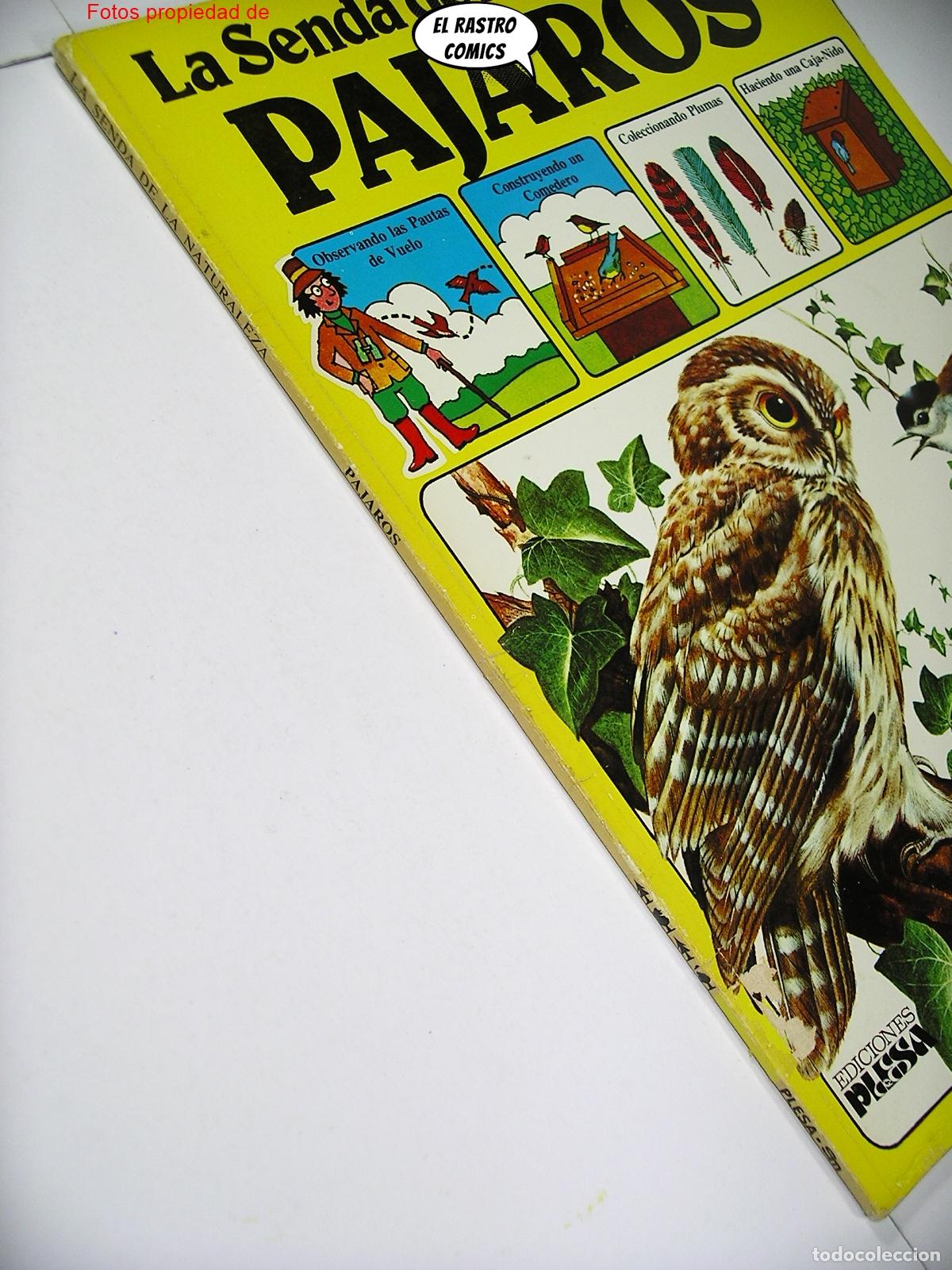 Libros de segunda mano: La senda de la naturaleza, Pajaros, ed Plesa SM a&ntilde;o 1989, (B), A7