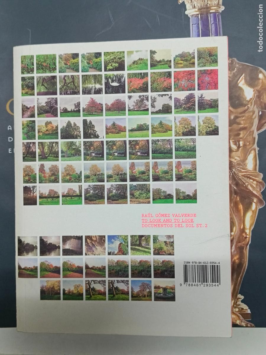 Libros de segunda mano: To look and to look. Ra&uacute;l G&oacute;mez Valverde. Documentos del Sol ST.2. 2009.