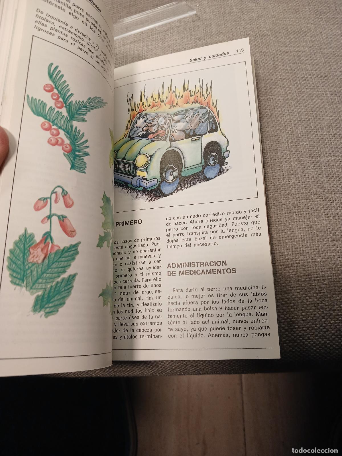 Libros de segunda mano: El Husky Siberiano - Beverly Pisano - Foto 3