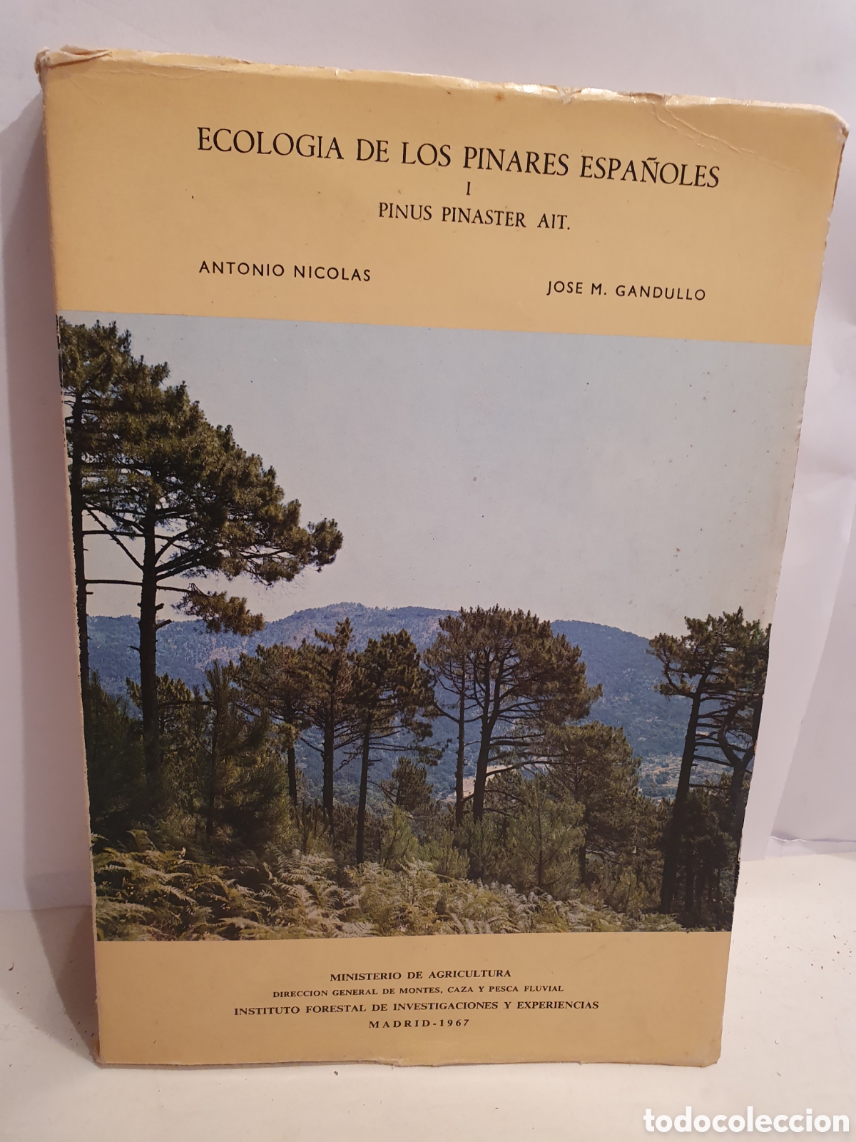 Gebrauchte B&uuml;cher: ECOLOGIA DE LOS PINARES ESPA&Ntilde;OLES. I PINUS PINASTER AIT. ANTONIO NICOLAS. JOSE MARIA GANDULLO.