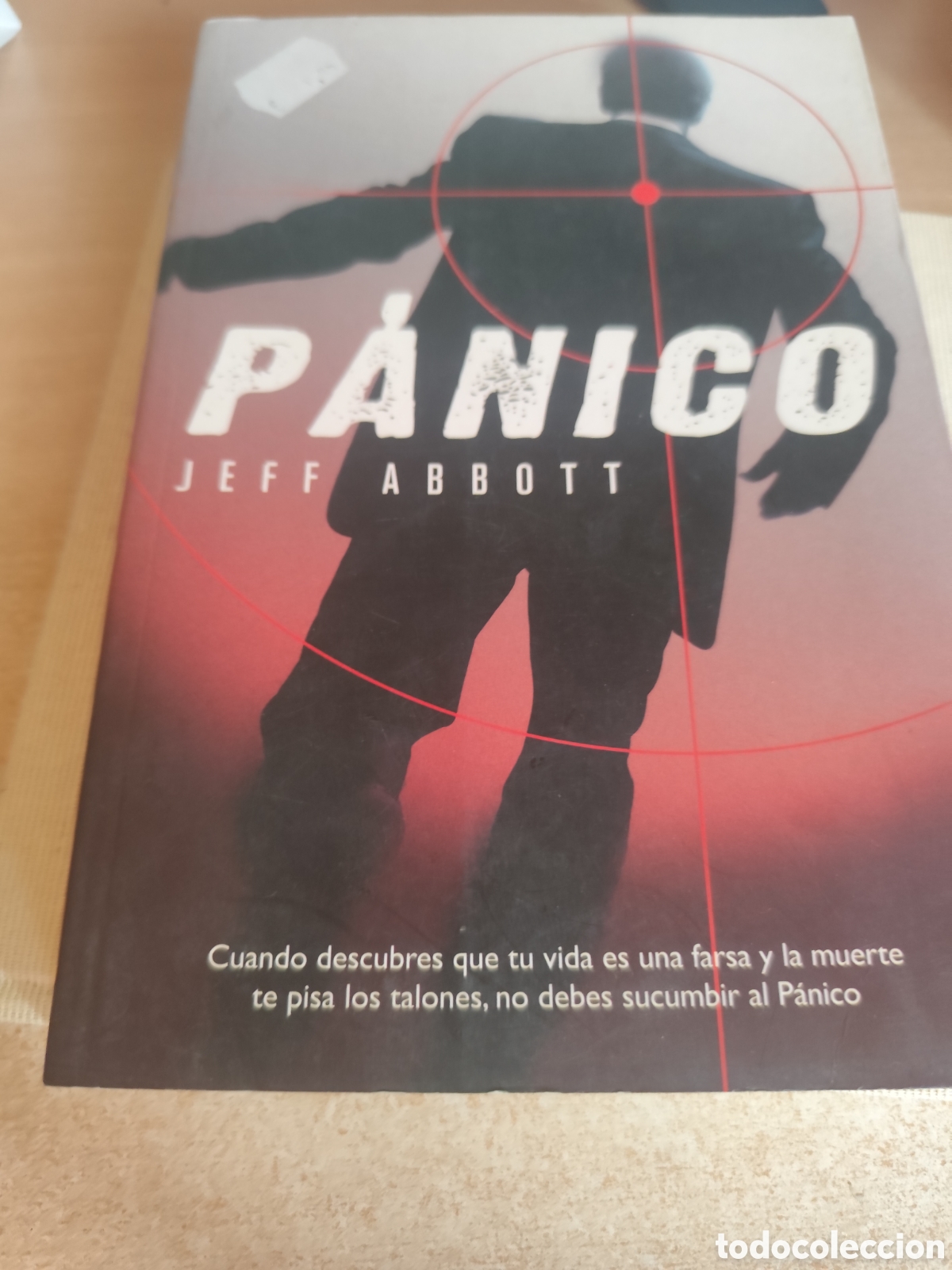 Libros de segunda mano: PANICO JEFF ABBOTT RF 93