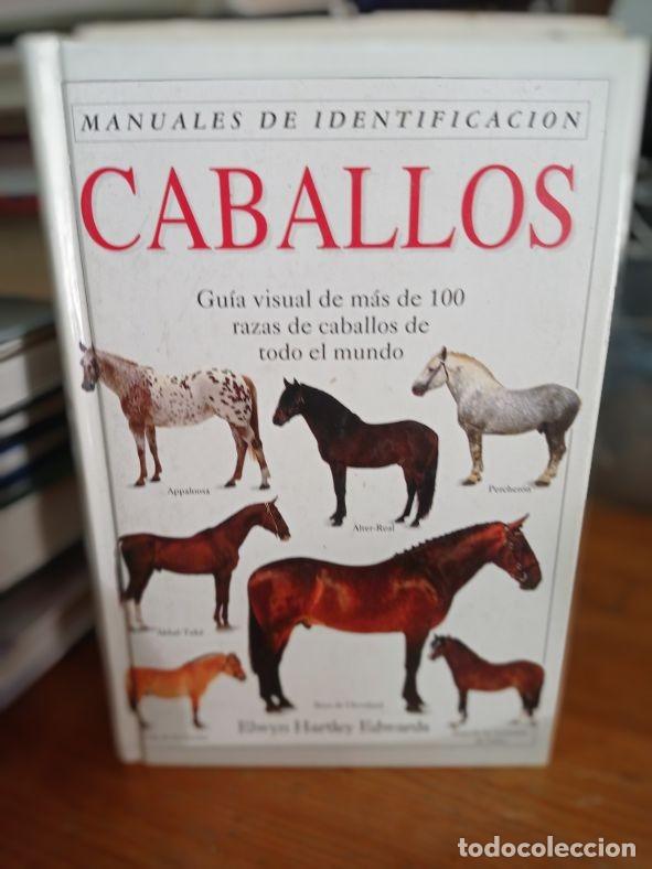 Libros de segunda mano: MANUALES DE IDENTIFICACION CABALLOS ELWYN HARTLEY EDWARDS - Foto 1