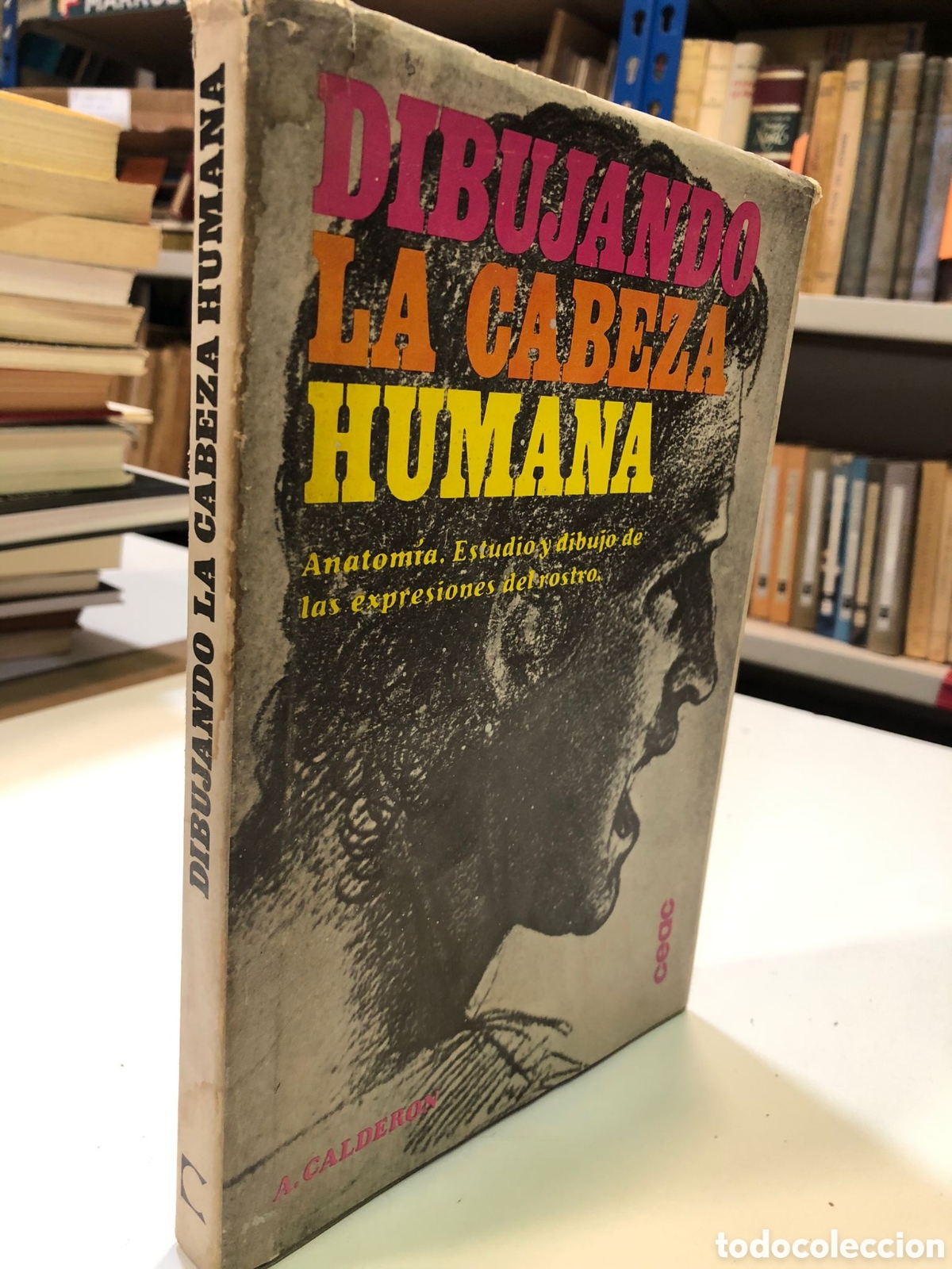 Livres d'occasion: Dibujando la cabeza humana. Anatom&iacute;a. Estudio y dibujo de las expresiones del rostro- A. Calder&oacute;n