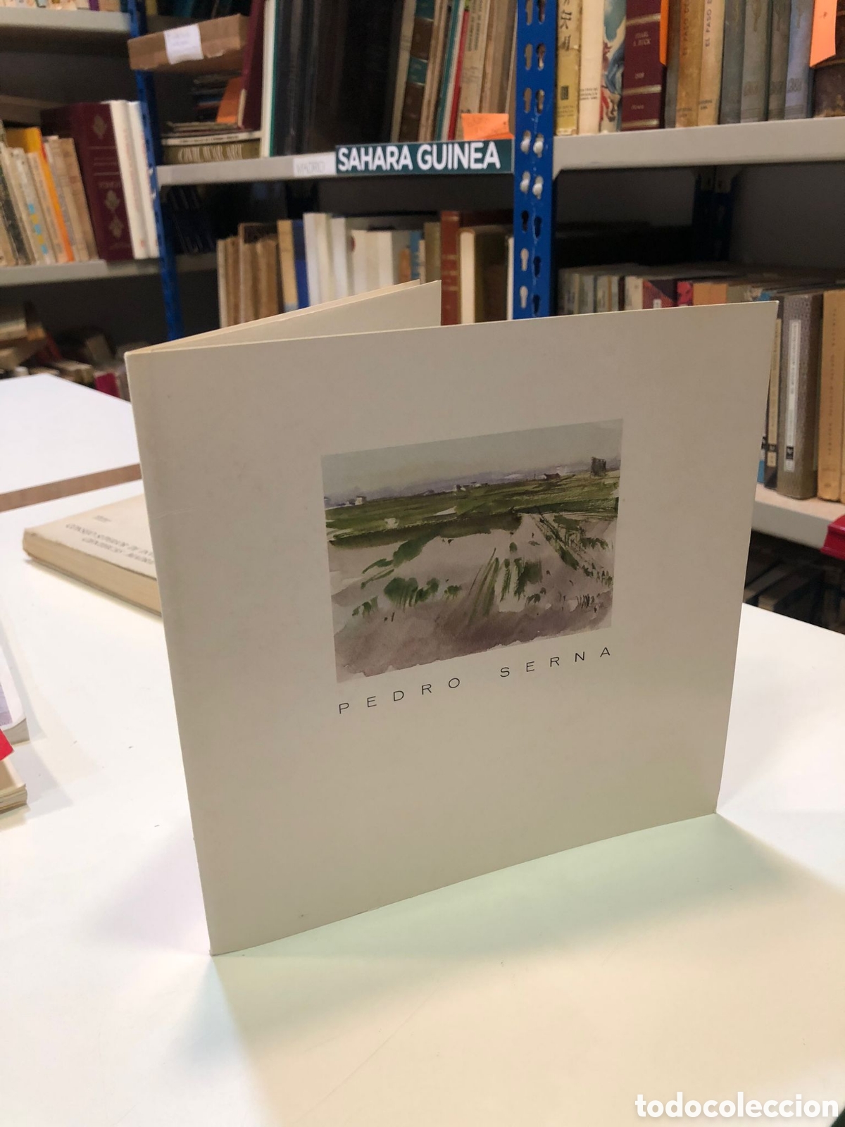 Libros de segunda mano: Pedro Serna (Pintura)