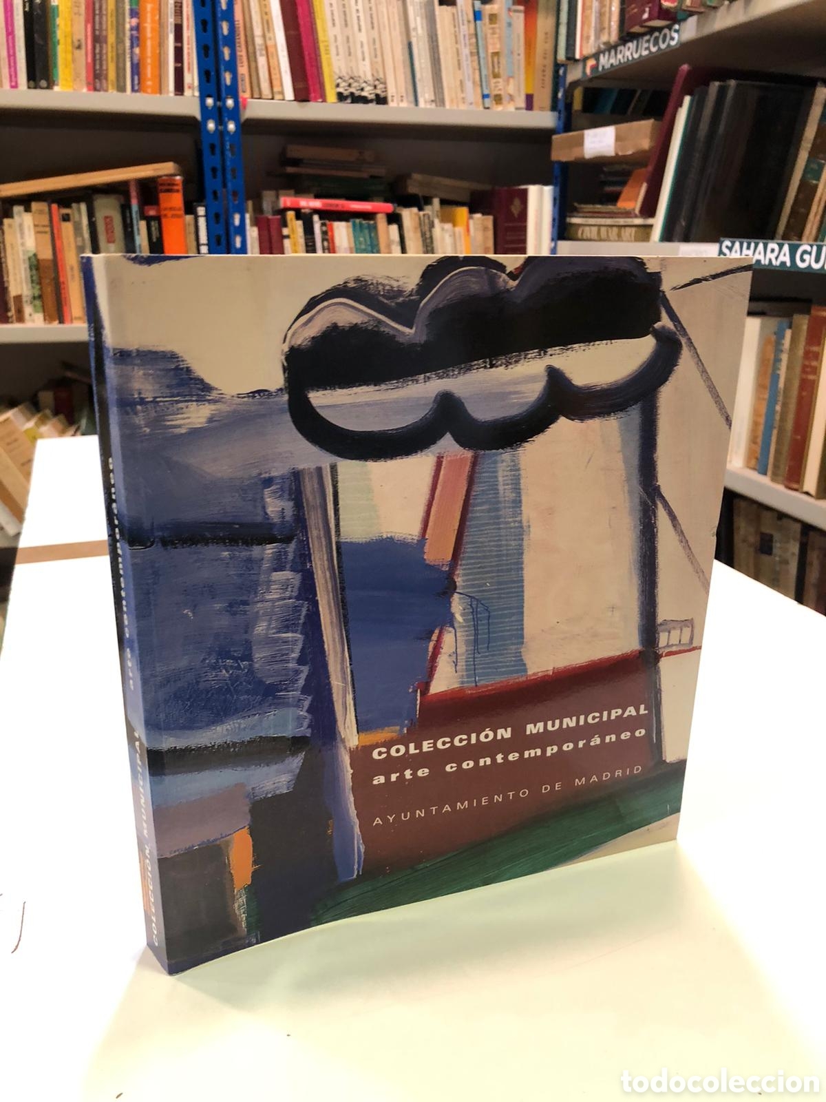 Libros de segunda mano: Colecci&oacute;n Municipal de Arte Contempor&aacute;neo. Pintura y escultura. Ayuntamiento de Madrid