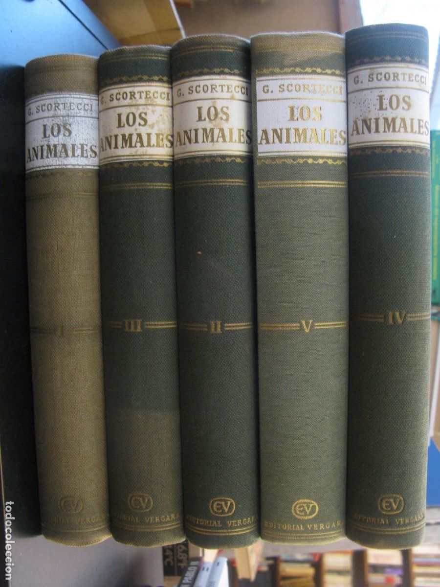 Libros de segunda mano: Los animales, c&oacute;mo son, d&oacute;nde vivem, c&oacute;mo viven (5 Tomos) - G. Scortecci - Ed. Vergara