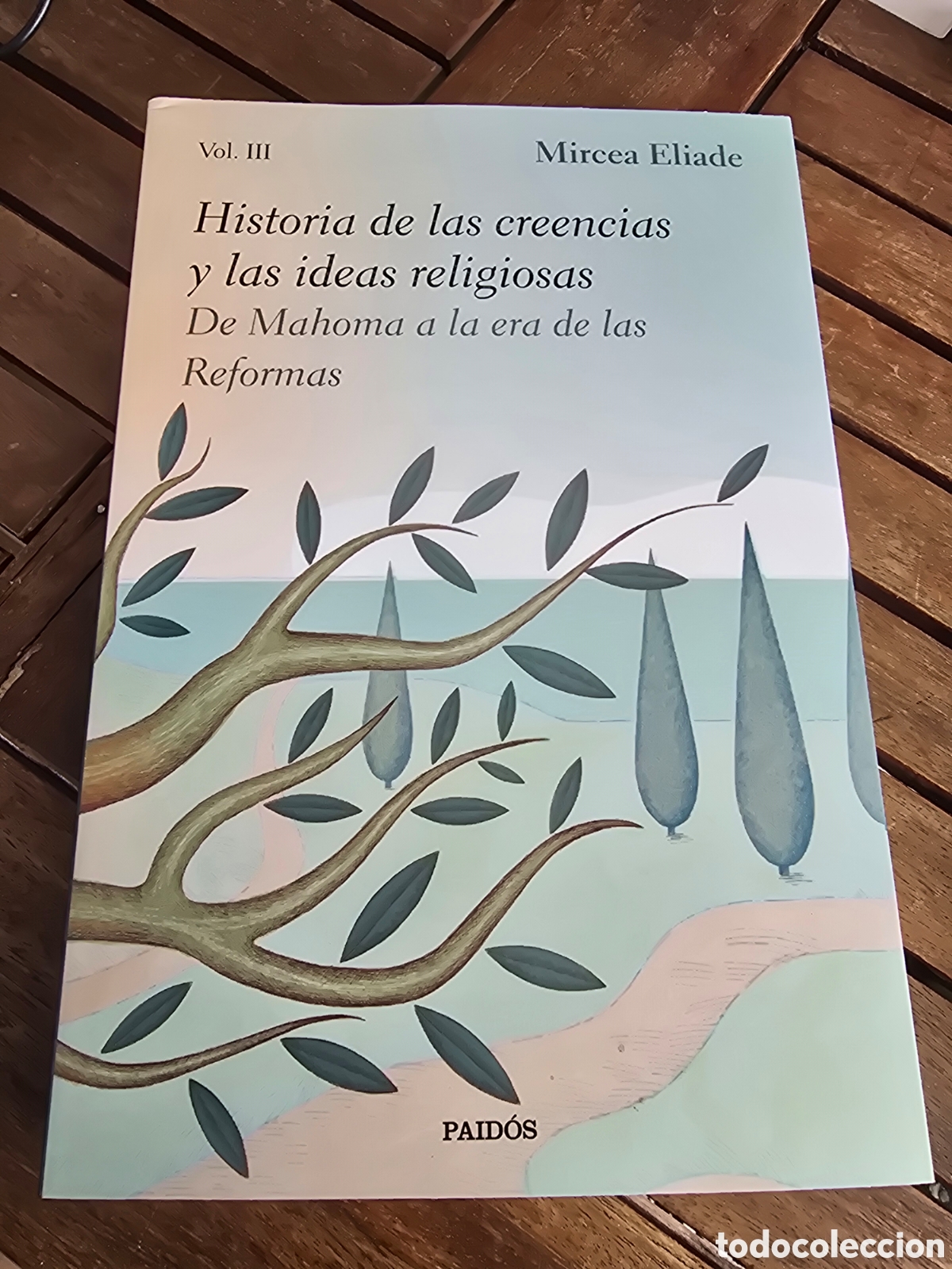 Libros de segunda mano: HISTORIA DE LAS CREENCIAS Y LAS IDEAS RELIGIOSAS III Mircea Eliade PAIDOS 2025 Mahoma Reformas
