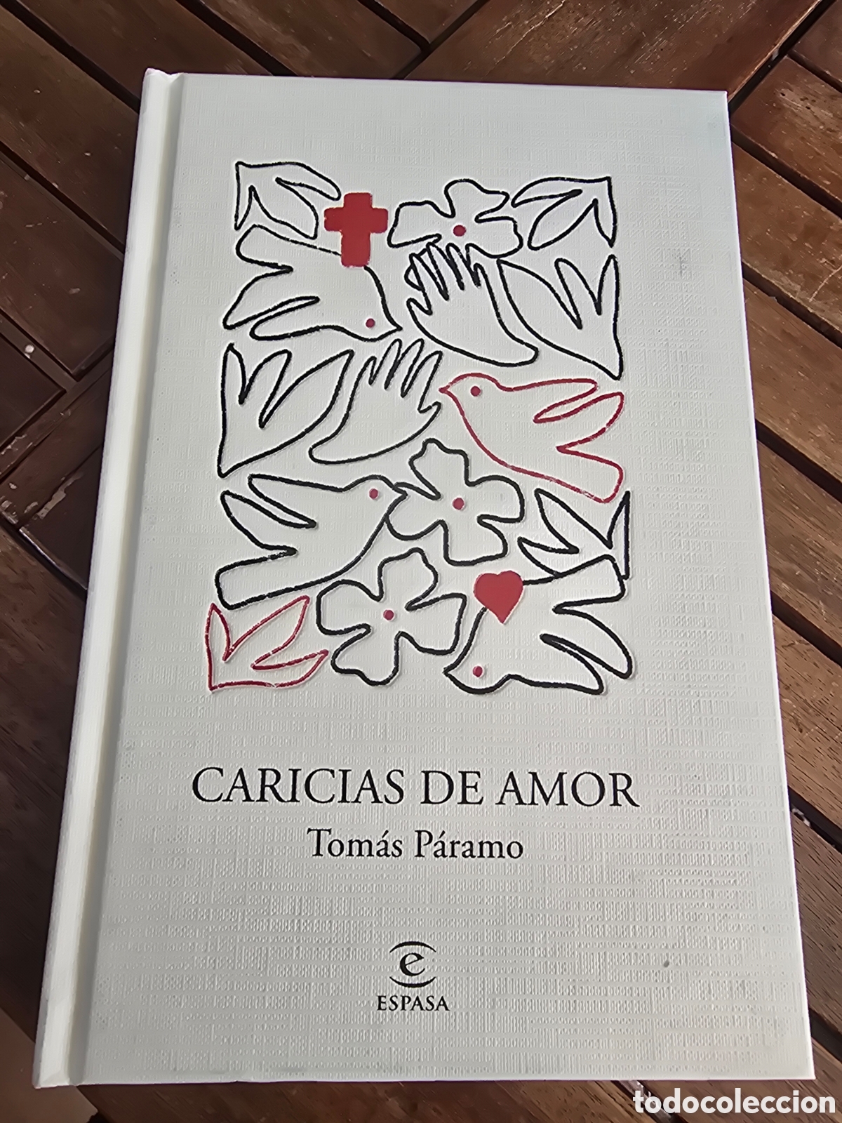 Libros de segunda mano: Caricias de amor Cuando Dios se convierte en refugio Tom&aacute;s P&aacute;ramo Editorial ESPASA CALPE 2026