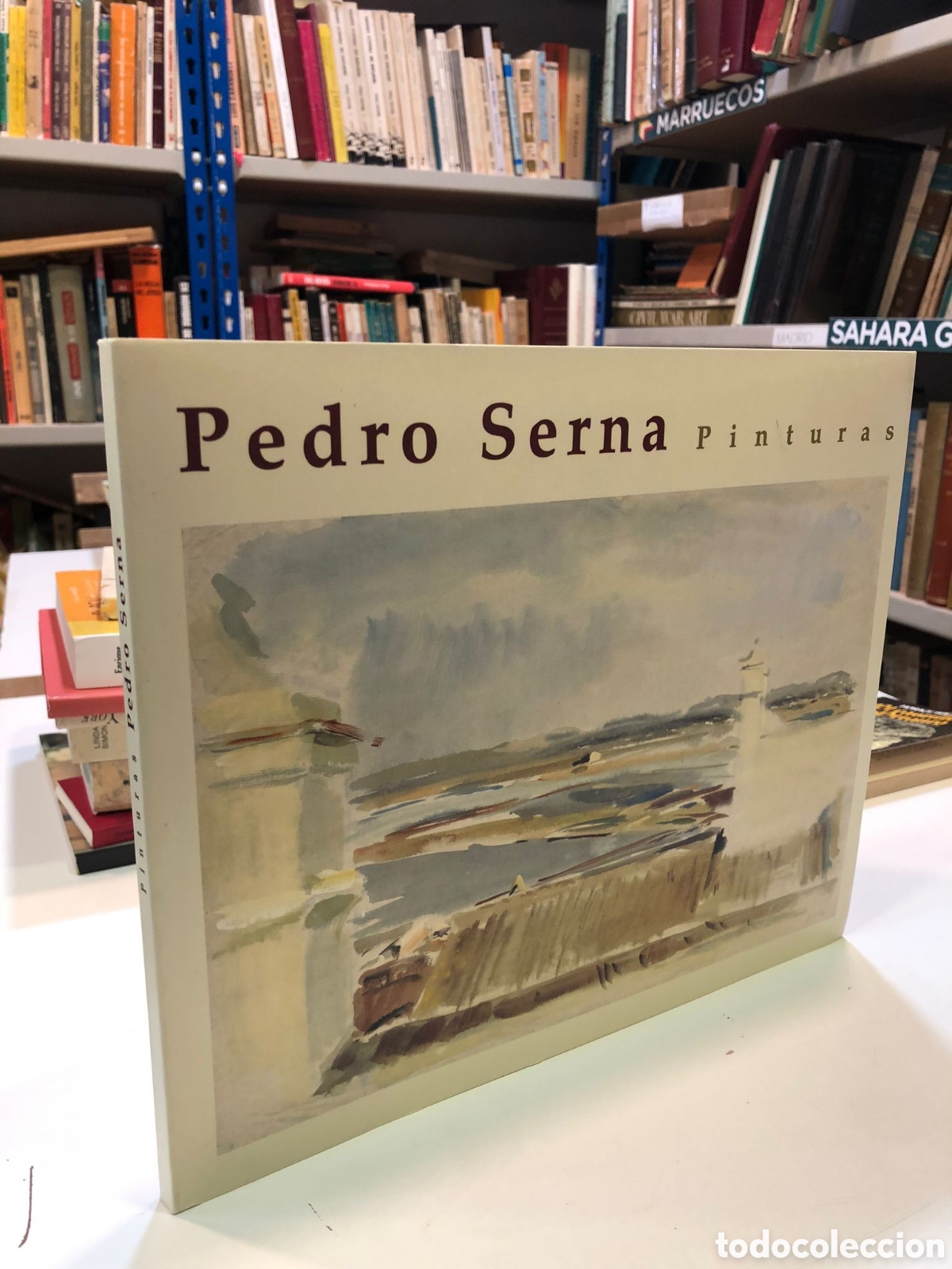 Libros de segunda mano: Pedro Serna. Pinturas - Ram&oacute;n Gaya et al.