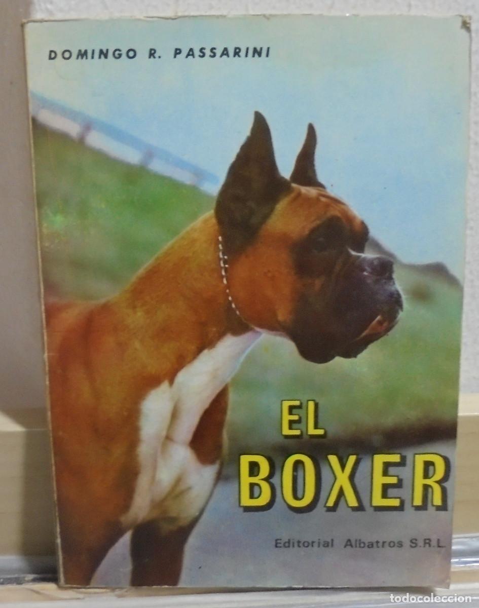 Libros de segunda mano: El boxer. Domingo R. Passarini