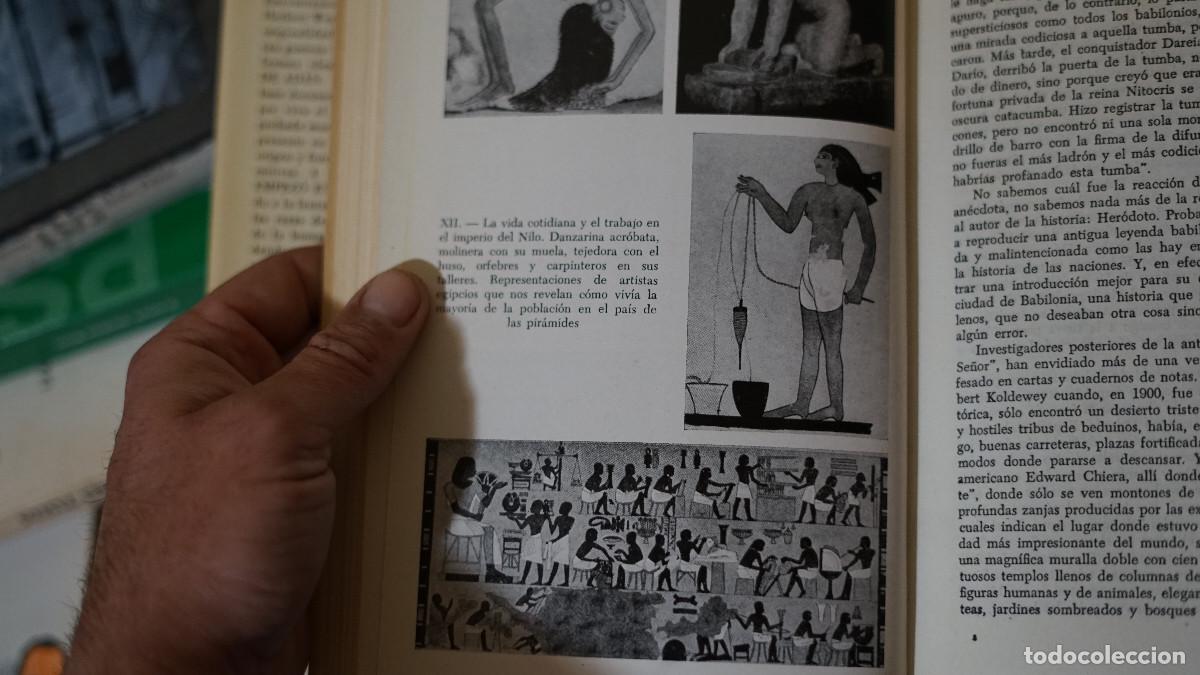 Libros de segunda mano: Herbert Wendt - Empez&ograve; en Babel - Noguer 1961 - Foto 4