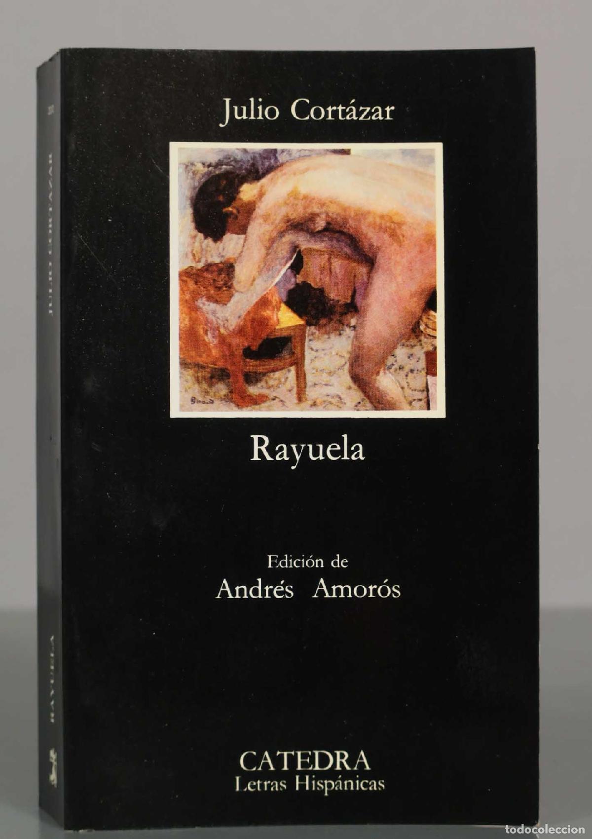 Libros de segunda mano: Rayuela - Julio Cort&aacute;zar - Edici&oacute;n de Andr&eacute;s Amor&oacute;s catedra