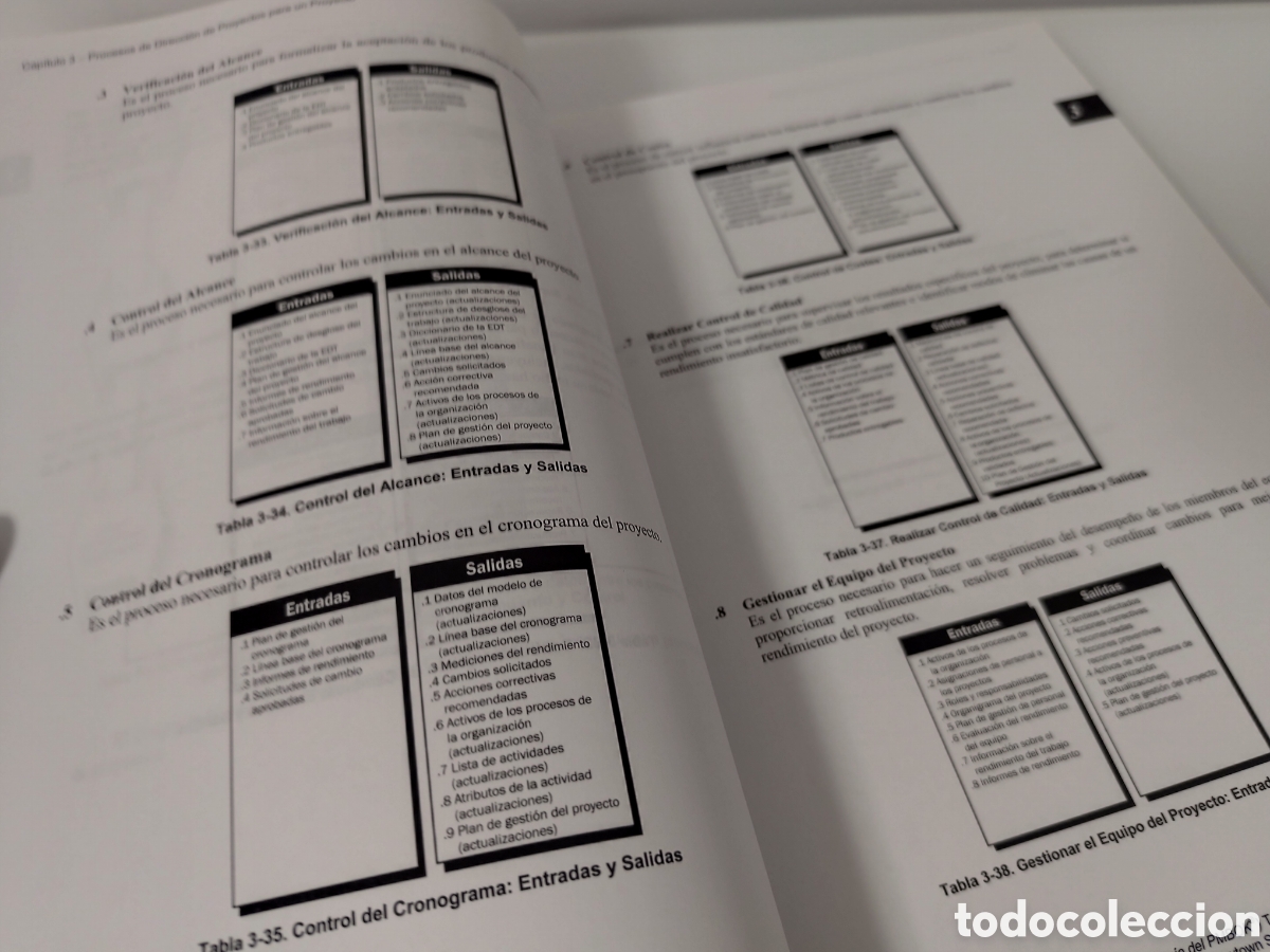 Libros de segunda mano: GUIA DE LOS FUNDAMENTOS PARA LA DIRECCION DE PROYECTOS (GUIA DEL PMBOOK) - Foto 8