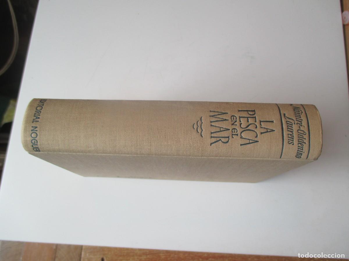 Libros de segunda mano: VV.AA. La pesca en el mar W39693 - Foto 2